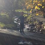 Profile Picture of Gavin Gibbons (@gibbonsgavin) on Instagram