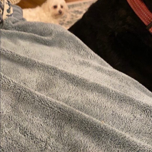 Profile Picture of Janet Stripling (@janetstripling) on Poshmark