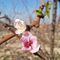 Profile Picture of Nancy Ascher (@nancy.ascher.3) on Facebook