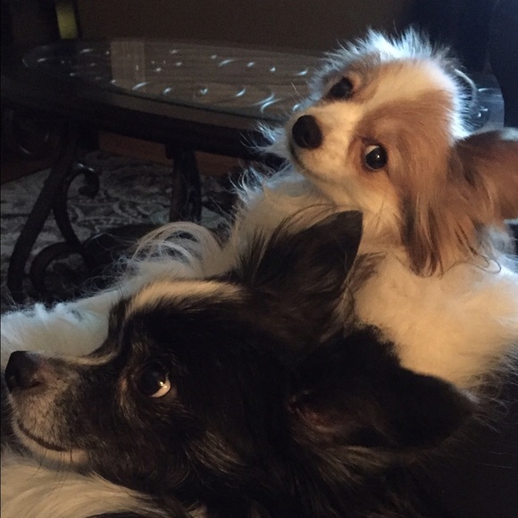 Profile Picture of Nancy Leonard (@nancyl4137) on Poshmark