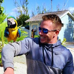 Profile Picture of David Dinsmore (@@daviddinsmore0) on Tiktok