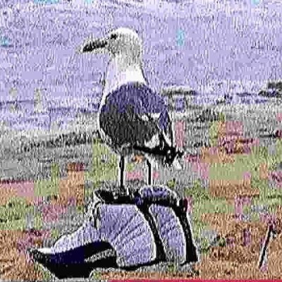 Profile Picture of Xavier Benson (@XavierB69281038) on Twitter