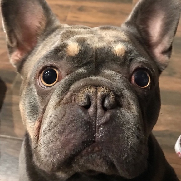 Heather Valerius - Poshmark Profile Picture of Heather Valerius (@heathervalerius) on Poshmark