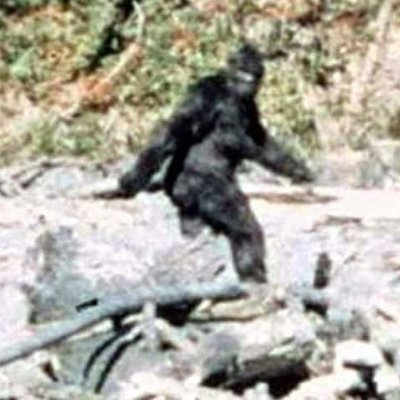 Profile Picture of Bigfoot (@DerekCho6) on Twitter