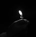 Profile Picture of Bichlan Nguyễn (@rora.nguyen.10) on Facebook