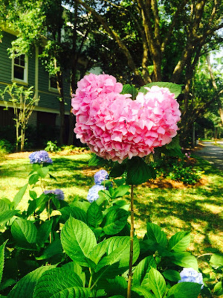 Profile Picture of Marie Rians (@marie_rians) on Poshmark