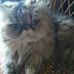 Profile Picture of Lillian Warren (@lillian.warren.399) on Facebook