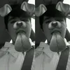 Profile Picture of Kenneth Cook (@kennethcook) on Tiktok
