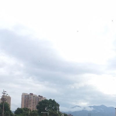 Profile Picture of 黄 (@SnowFeng10086) on Twitter