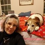 Profile Picture of Cindy Cotter (@vikingsfan_80) on Instagram