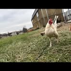 Profile Picture of Jason Dowell (@jason.dowell.184042) on Facebook