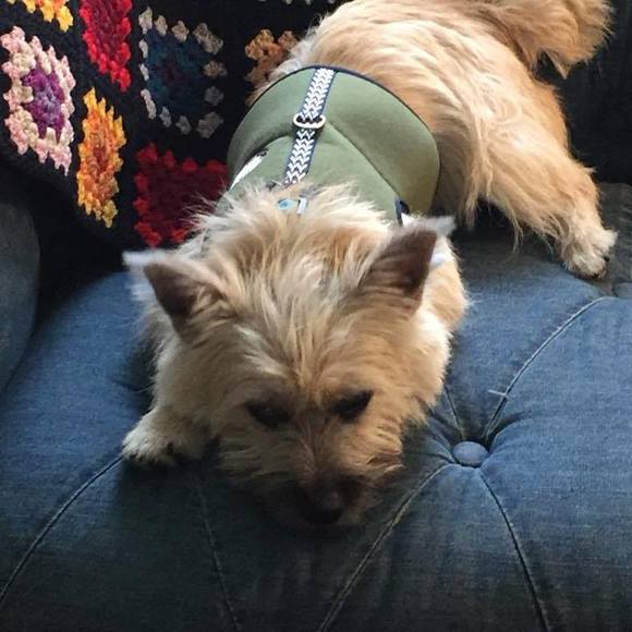 Profile Picture of Myra Hafner (@myrahafner) on Poshmark