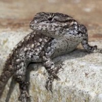 Profile Picture of Jason Goodsell (@jason-goodsell-1) on Quora