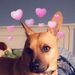 Profile Picture of Kiley (@kileydaugherty) on Pinterest