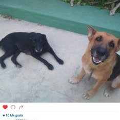 Profile Picture of Aaron (@AaronCabello3) on Twitter