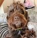 Profile Picture of Chris Brindle (@chris.brindle.1865) on Facebook