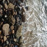 Profile Picture of downtown abbey (@dashner_15) on Instagram