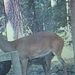 Profile Picture of Tina Alecia Newton (@tinaalecia) on Pinterest