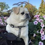 Michael Mierau - Instagram Profile Picture of Michael Mierau (@b.michael.mierau) on Instagram