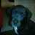 Profile Picture of David Sadd (@davesaddd) on Instagram