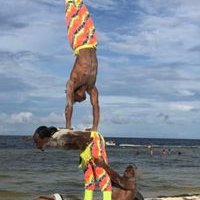 Profile Picture of Erick Haro (@erickharo40) on Twitter
