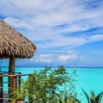 Profile Picture of Michael Brazel (@michaelbrazel) on Instagram