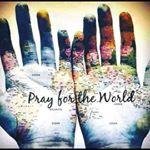 Profile Picture of LuAnn Meyer (@rosefujim4866) on Instagram