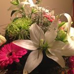 Christine Sealock - Instagram Profile Picture of Christine Sealock (@christinesealock3) on Instagram