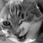 Profile Picture of Ryan Moores (@mr.mooress) on Instagram