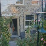 Profile Picture of David Cottam (@dolphinnook) on Instagram