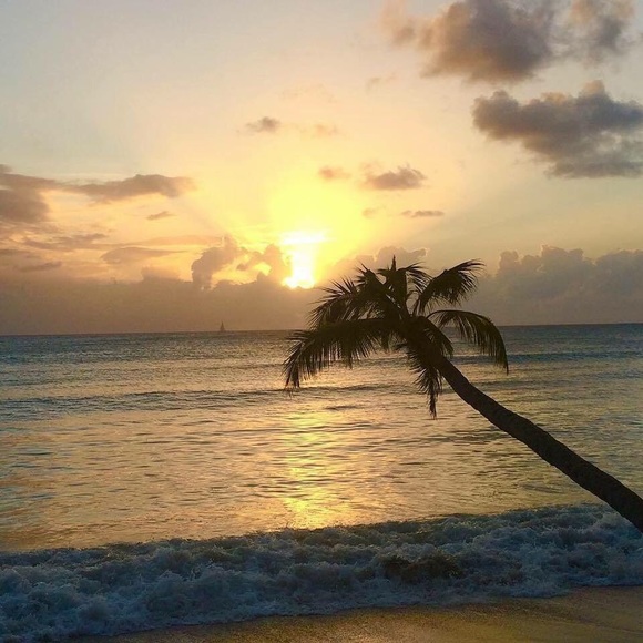 Profile Picture of Kevin Dilone (@kevdilone) on Poshmark