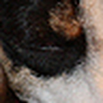 Profile Picture of Stephen Murphy (@stephen j murphy) on Flickr