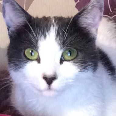 Profile Picture of Janine Dennis (@disneydreams83) on Twitter