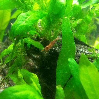 Profile Picture of Nathan Wiseman (@9a75d9ee9098495) on Twitter