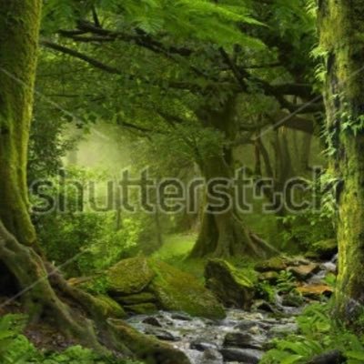 Profile Picture of Shaun Galloway (@proenvirement) on Twitter