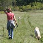 Profile Picture of Robin Fowler (@fowler.robin) on Instagram