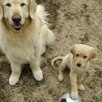 Profile Picture of Mark Posteraro (@mark.posteraro) on Facebook