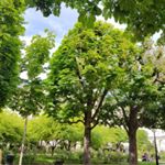 Profile Picture of Groupe Jeremy (@tbpcolille) on Instagram