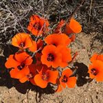 Profile Picture of Janet Westbrook (@jwest0554) on Instagram