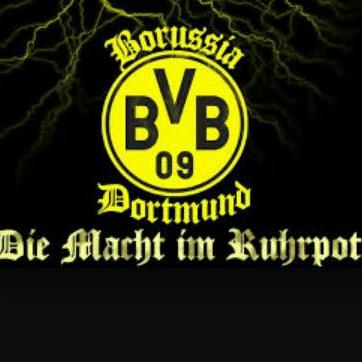 Profile Picture of David Van Den Broek (@david_broek) on Twitter