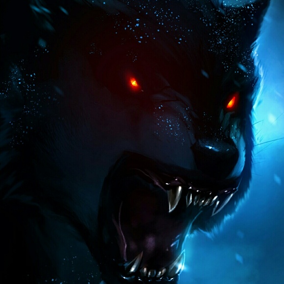 Profile Picture of Mihaila Nedkova (@mihaila) on Poshmark