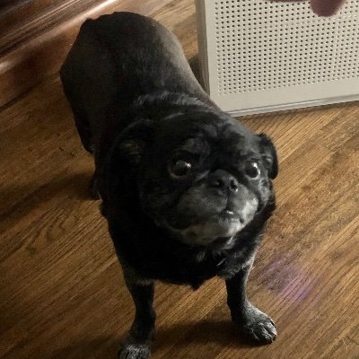 Profile Picture of Tom Hagerty (@tomhagerty6) on Twitter