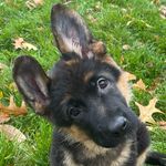 Profile Picture of Michelle Wixson Allen Schoenek (@mlschoenek) on Instagram