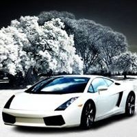 Profile Picture of Jacob Kaufman (@jstevenk) on Pinterest