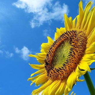 Profile Picture of Paula Scroggins (@paula.scroggins.90) on Facebook