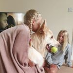 Profile Picture of Andrew Duell (@andrew.duell.77) on Instagram