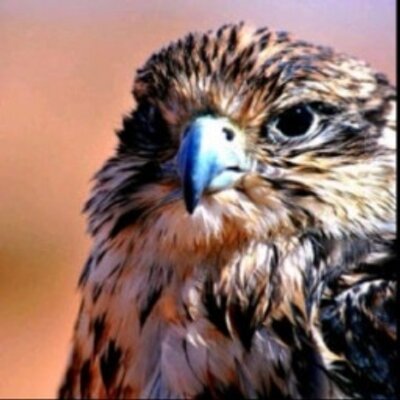 Profile Picture of Berta Melendez (@BertaMelendez8) on Twitter