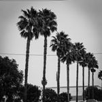 Profile Picture of Pete (@_psandoval) on Instagram