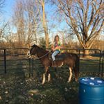 Profile Picture of Peyton Isabelle Curtis (@peytonisabellecurtis) on Instagram