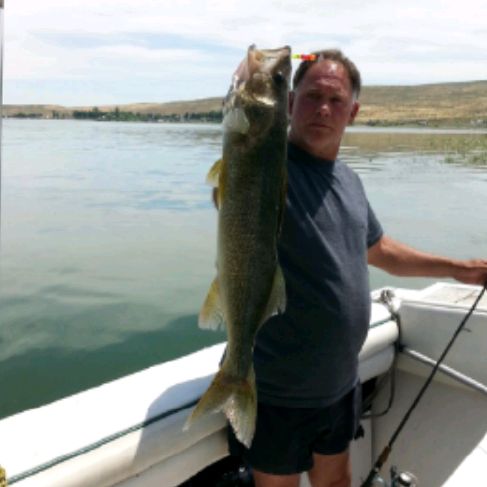 Profile Picture of Stephen Davis (@@scubadavis) on Tiktok